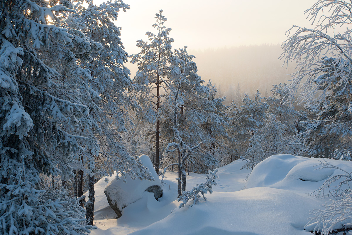 Kesk-Soome talv