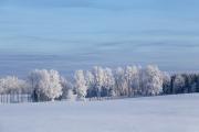 Eesti talv